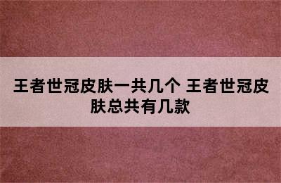 王者世冠皮肤一共几个 王者世冠皮肤总共有几款